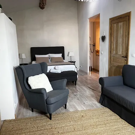 La Cite Secrete Holiday home Carcassonne