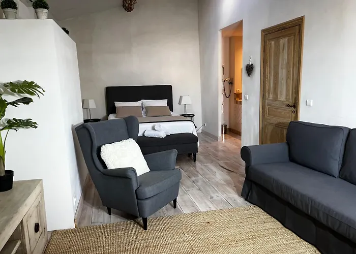 La Cite Secrete Holiday home Carcassonne